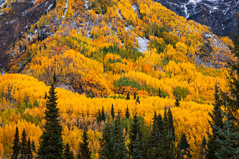 Million Dollar Highway Fall Colors // ADVENTR.co