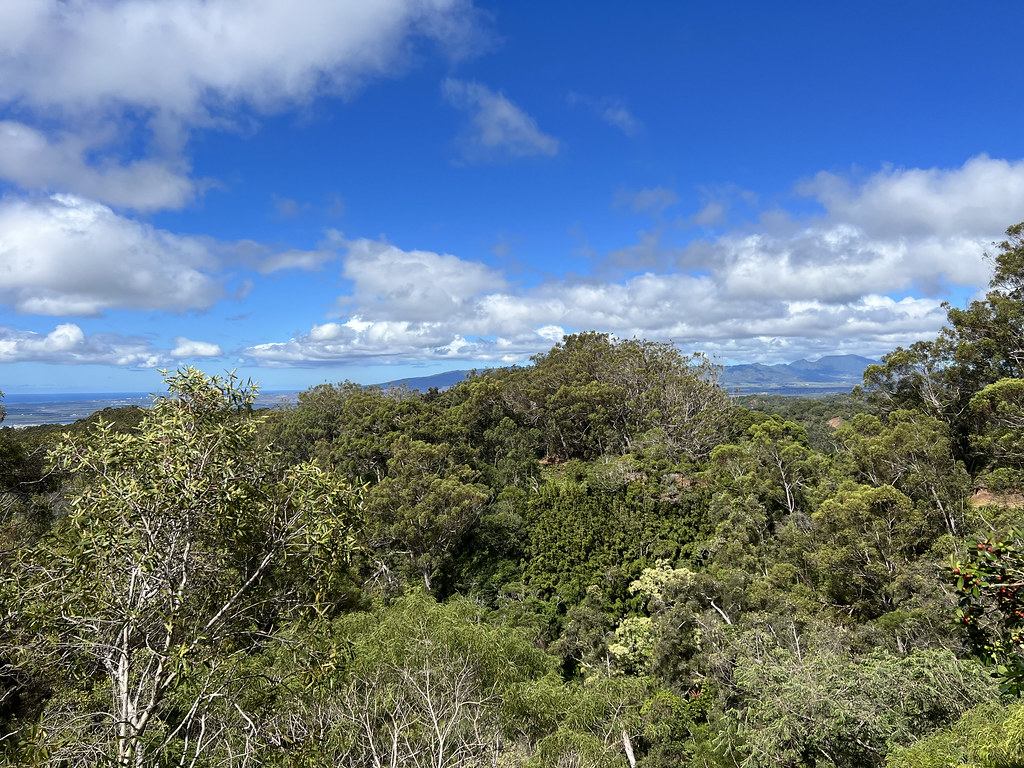 IMG_8781 Richard Seaquist Flickr