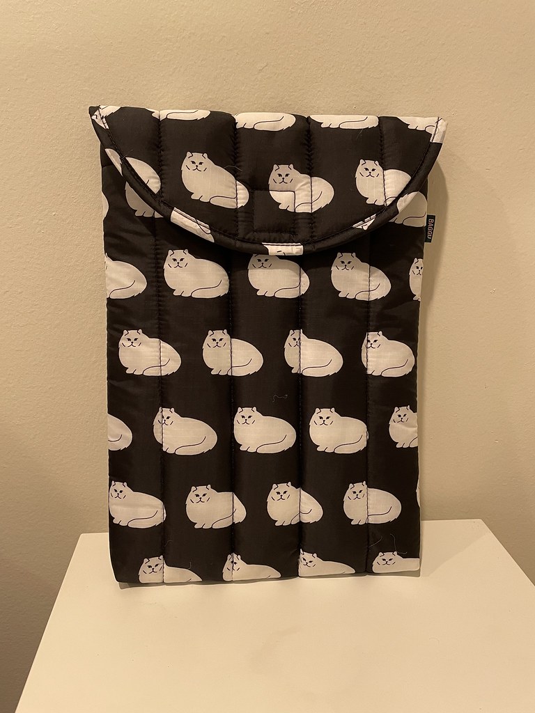 Baggu Laptop Sleeve Image 10/10 for INFO 5815 Assignment 3… Flickr