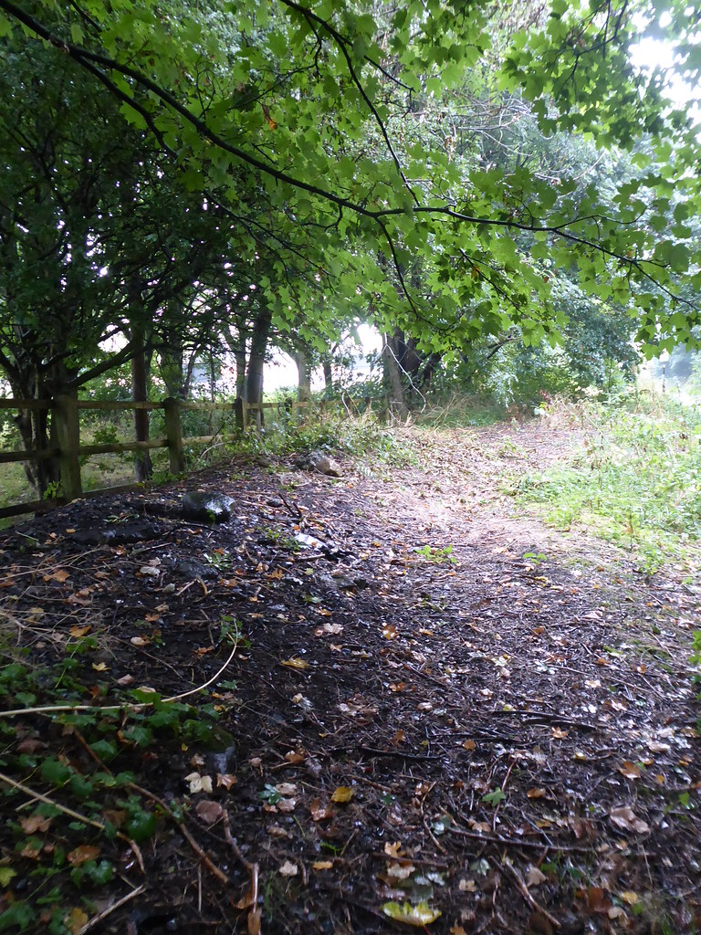 P1930049 Site of platform at Scale Hall station, Lancaster… Flickr