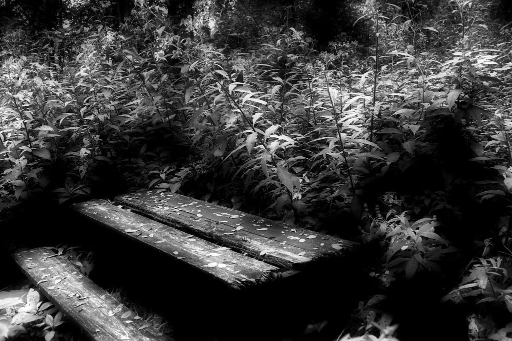 picnic bench John Flickr