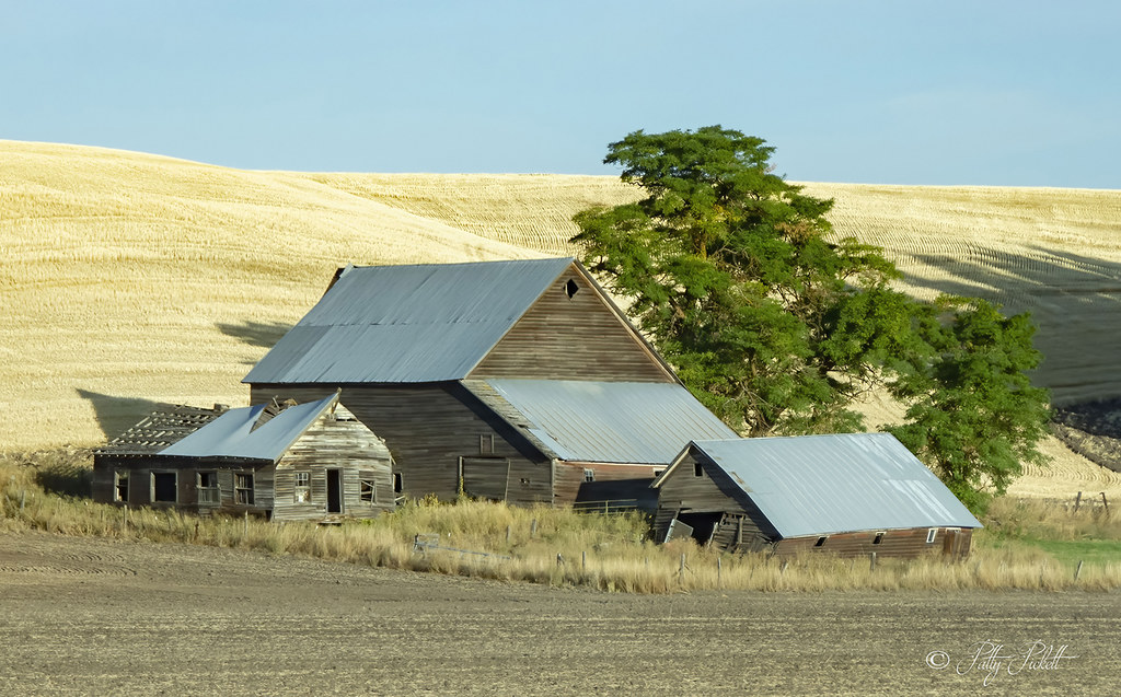near Lewiston Idaho Pattysphotos Flickr