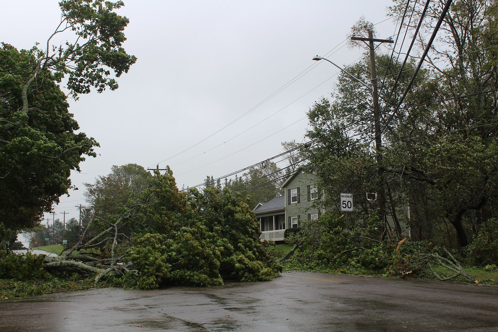 After The Storm (27) Central Bedeque, PEI Toppled trees o… Flickr