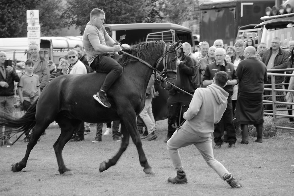 The 300th Ballinasloe Horse Fair © Milan Cvetanovic All ri… Flickr