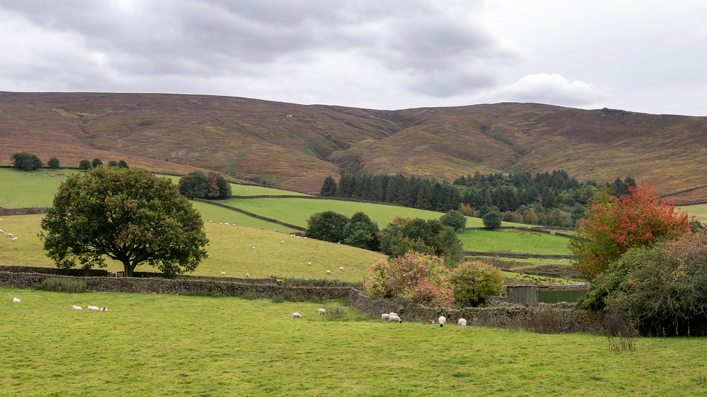 The Twitchlings View from Kidd Road, Moorfield Glossop. Bob