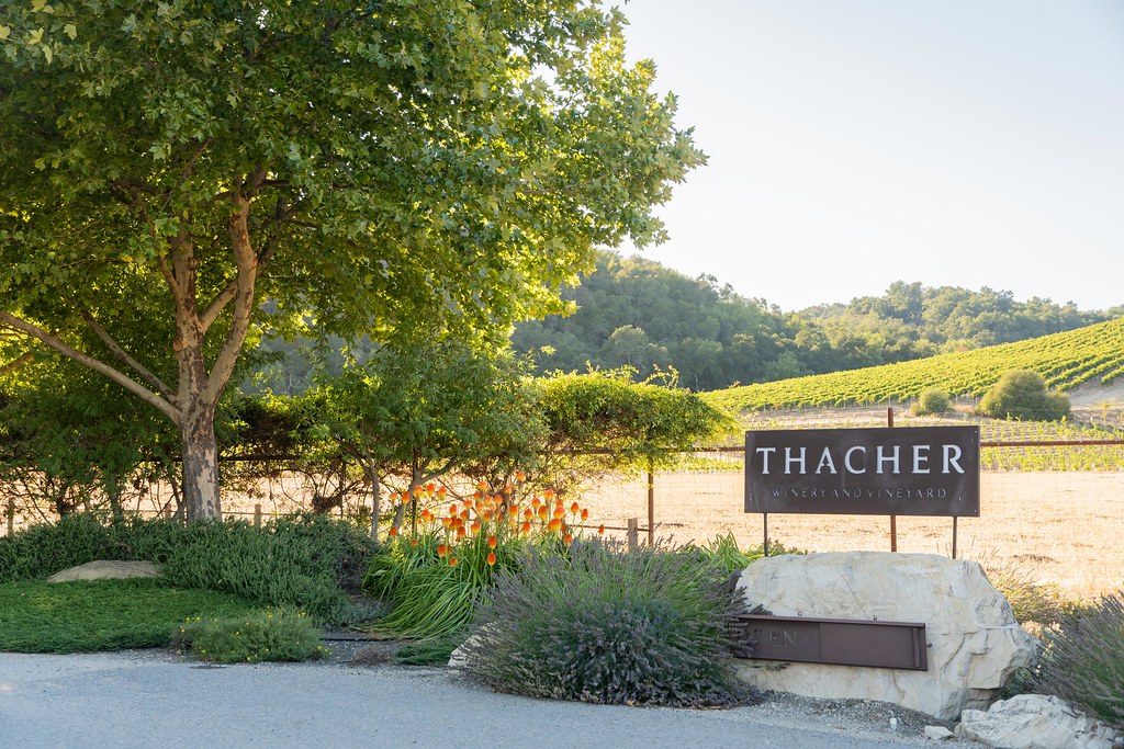 Madrone Vineyard Landscape Design Construction59 Tyler.E Flickr