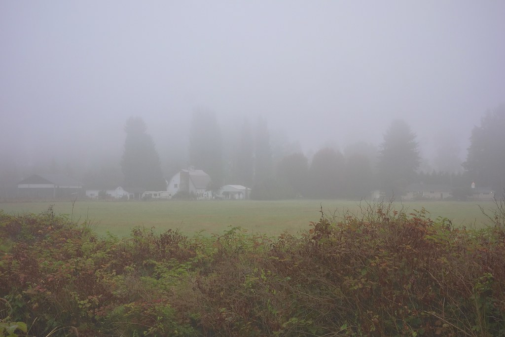 DSC06479 Machias, WA fog and smog. Oxbow_Lebach Flickr