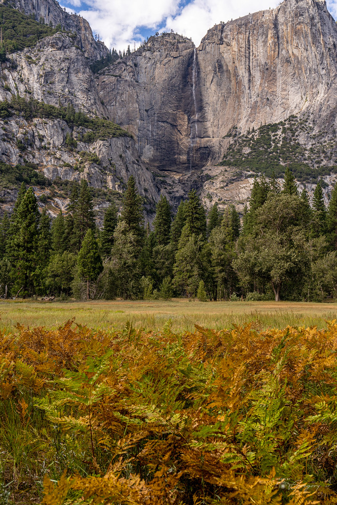Yosemite Falls and Bracken Greg Hughes Flickr