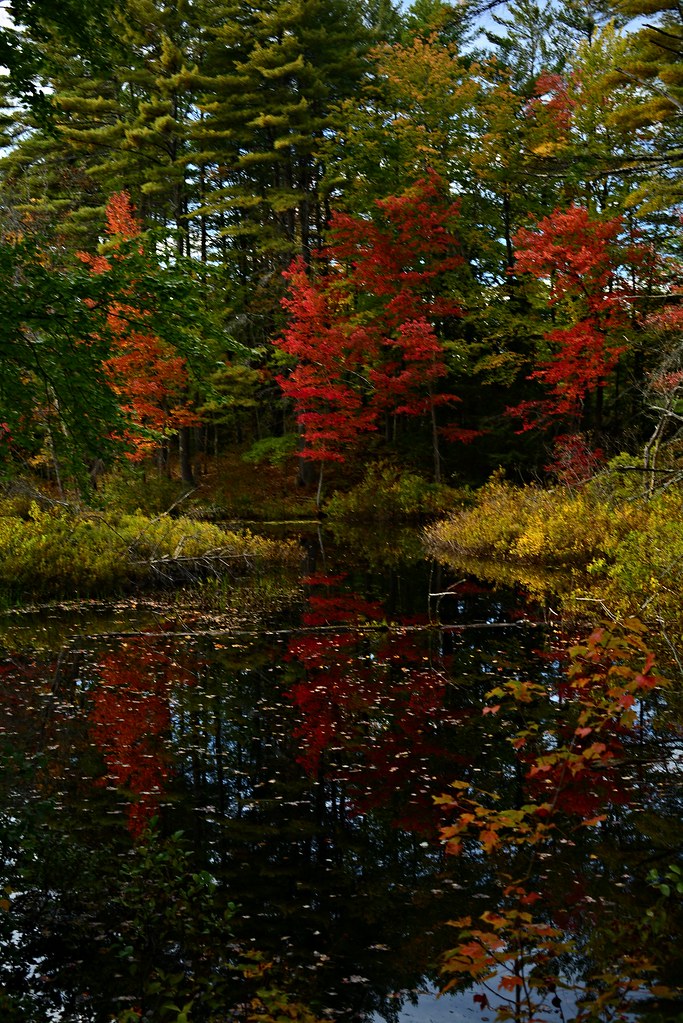 20221004LocalColor0013 Parsonsfield / Cornish, Maine. So… Flickr