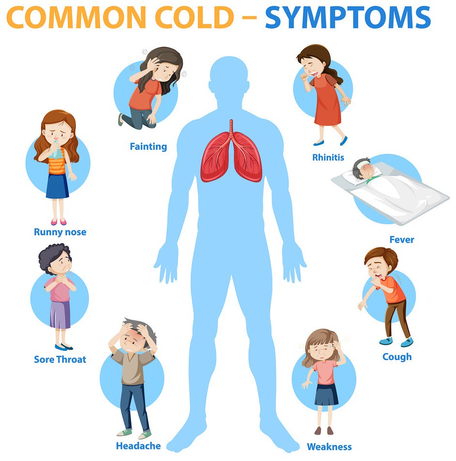 Common cold symptoms cartoon style infographic Common cold… Flickr