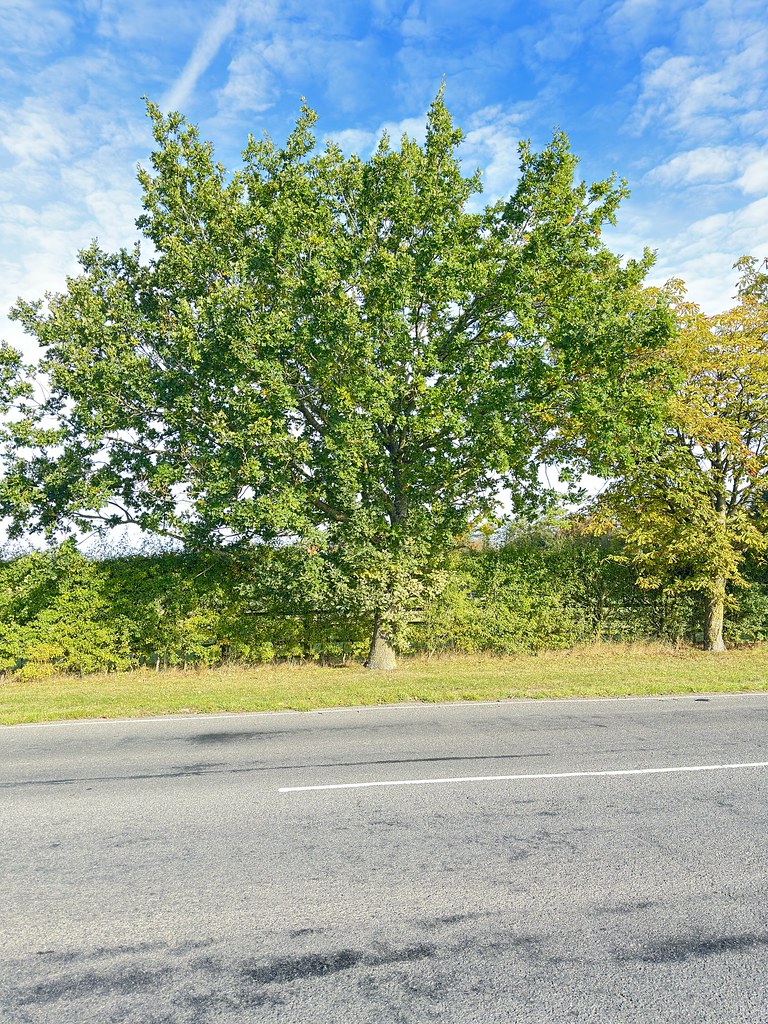 Minster Lovell A walk through Minster Lovell Robert Cripps Flickr