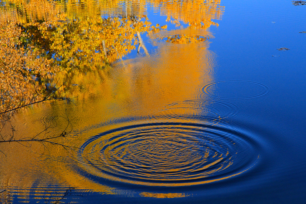 Ripples in Yellow and Blue Garfield County, Colorado Flickr