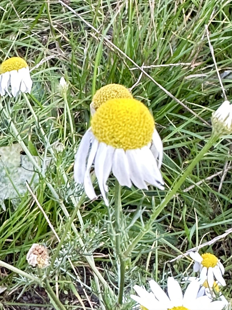Minster Lovell A walk through Minster Lovell Robert Cripps Flickr