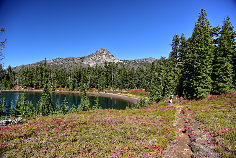 Jefferson Park via Woodpecker Ridge Just Peachy