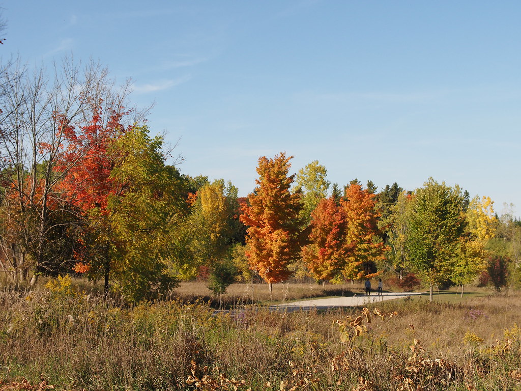 2022 October Guelph Arboretum Rutkay Flickr