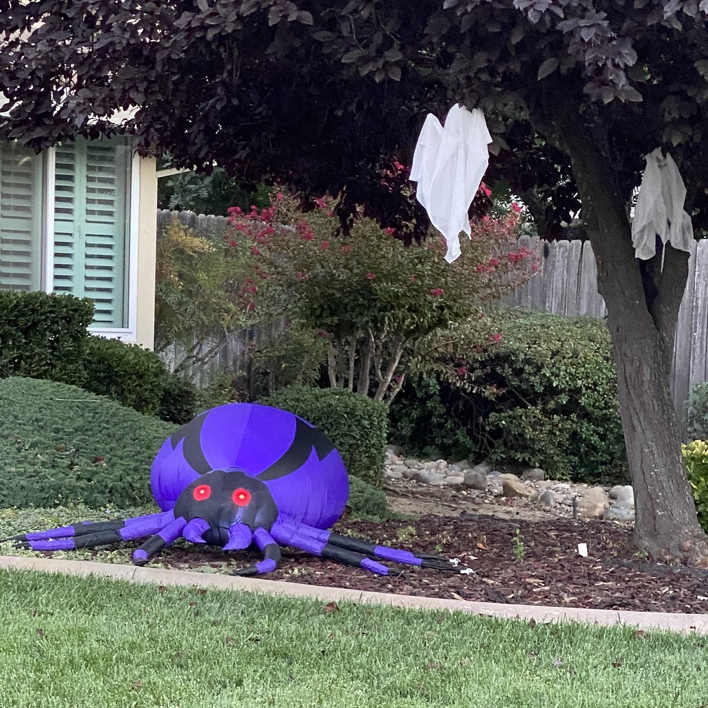 Halloween in Roseville Image taken along Ridgecrest Way, R… Flickr