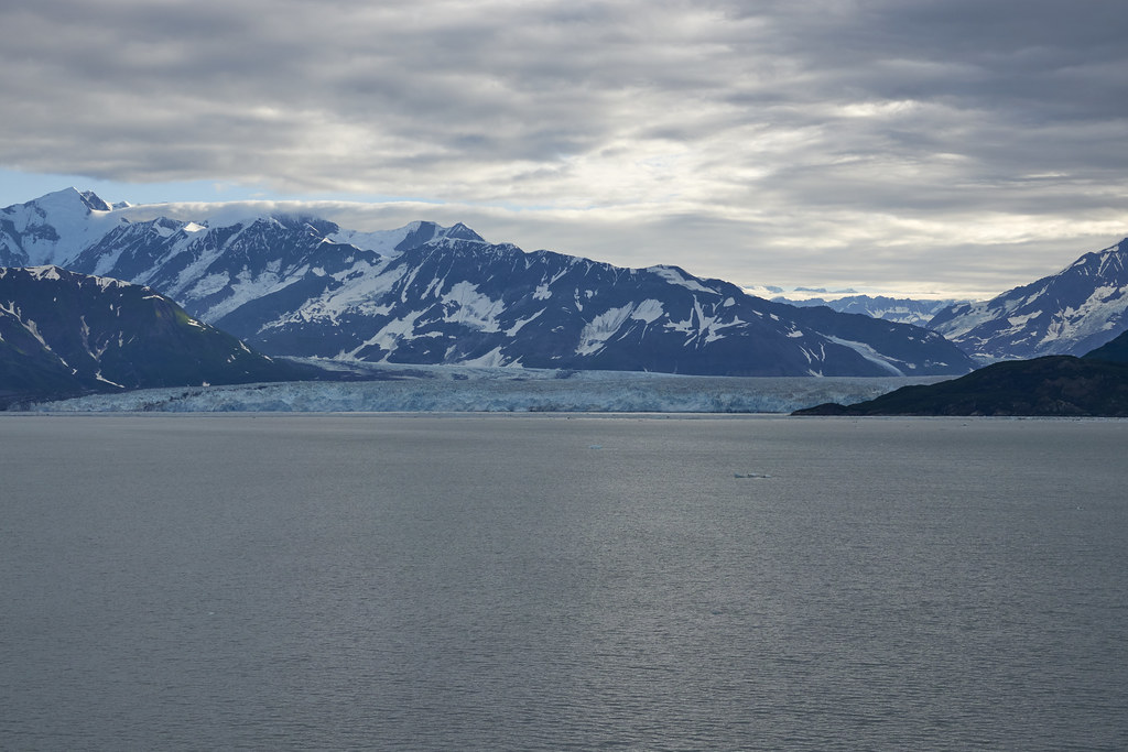 Yakutat Bay Visit DSC06993 c1 We didn't make it into Glaci… Flickr
