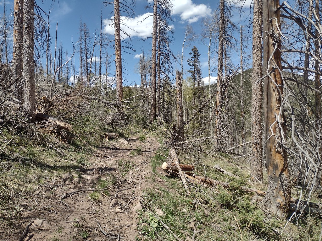 IMG_20220604_135507970_HDR Lake Isabel OHV Crew Flickr