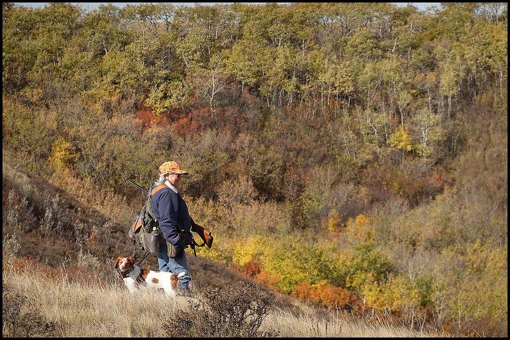 10622 Nancy and Bliss Greg Hartman Flickr