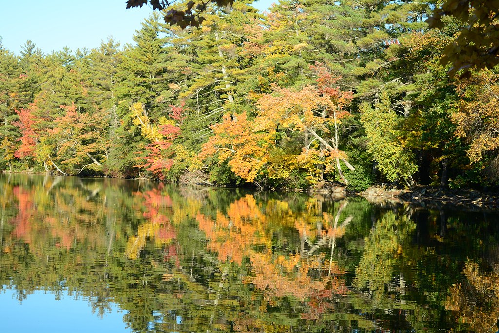 20221006LocalColor0025 West Pond, Parsonsfield, Maine. J… Flickr