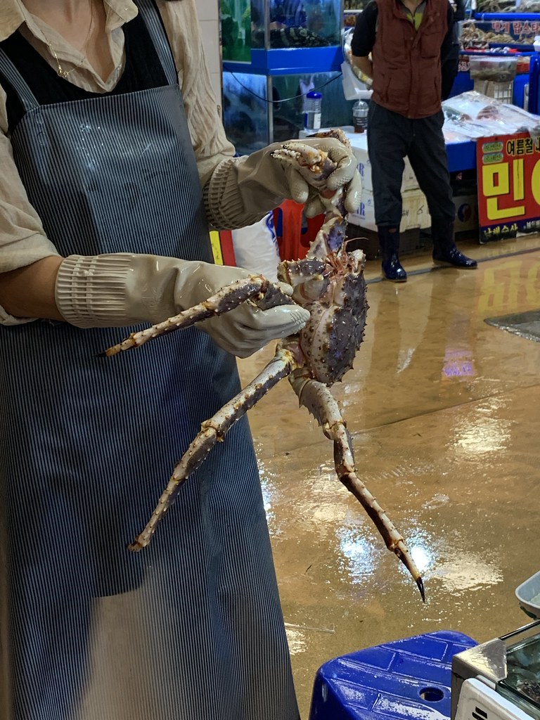 King Crab, Noryangjin Fisheries Wholesale Market (노량진 수산시장… Flickr
