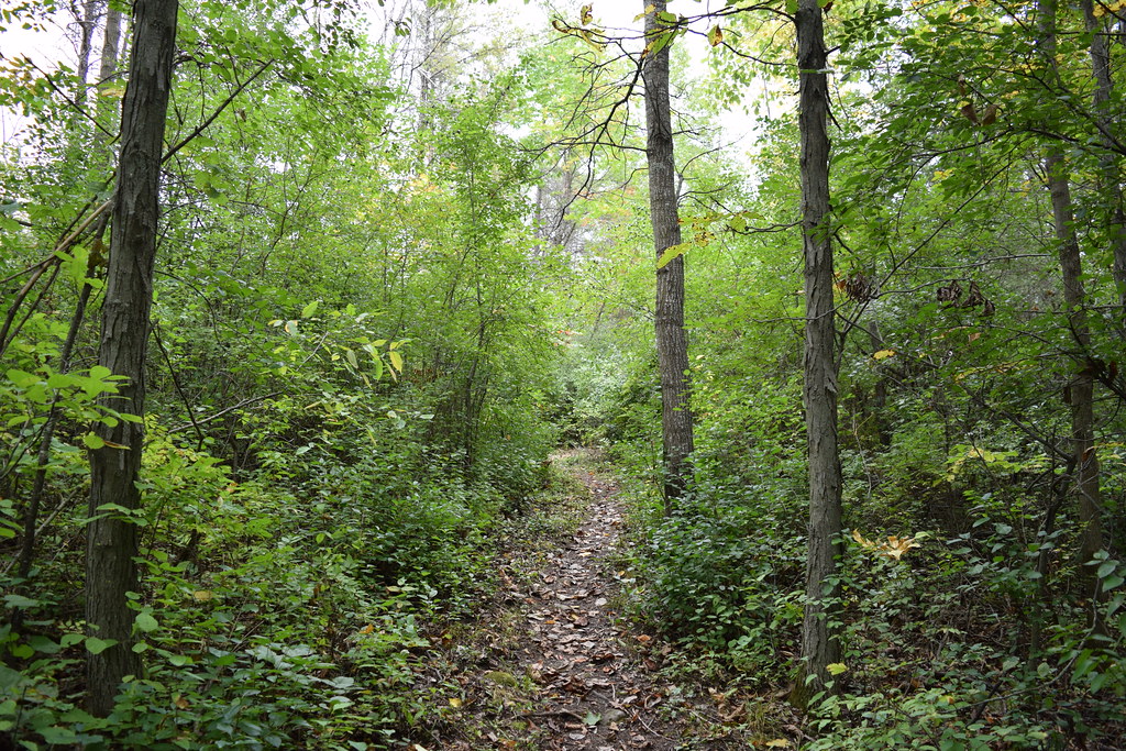 Moraine Nature Trail Kettle Moraine State Forest Northern … Flickr