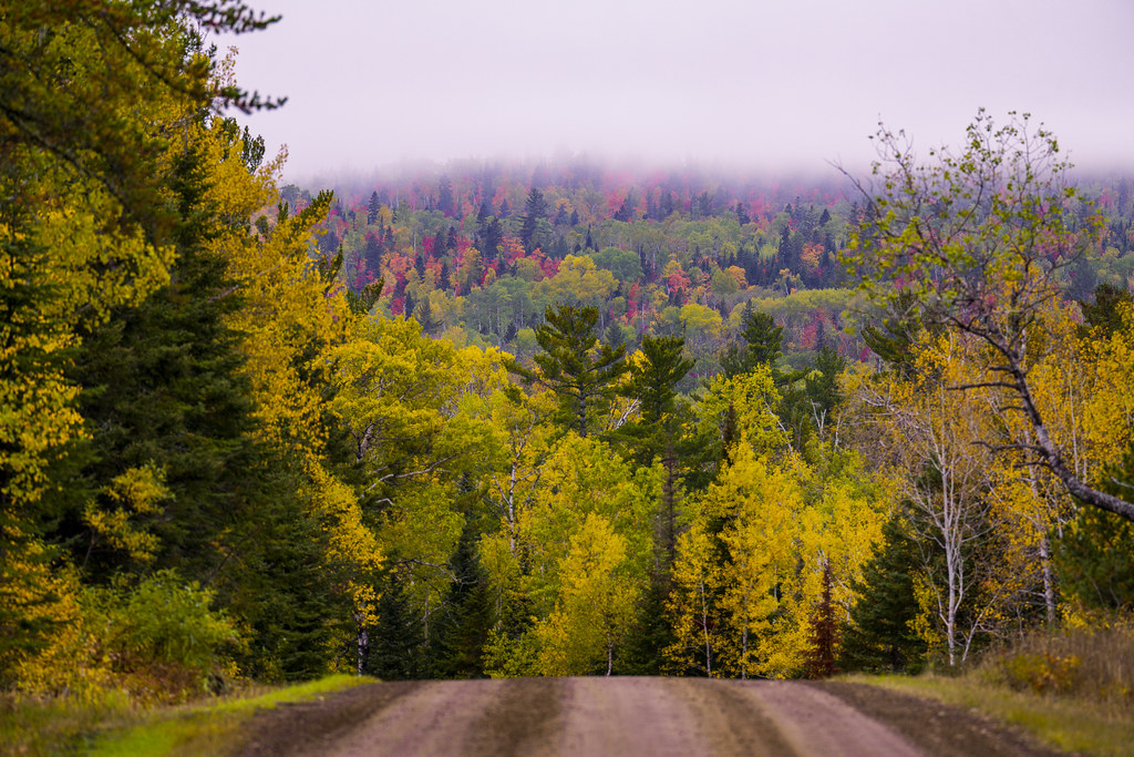 Cook County, Minnesota Cook County, Minnesota Flickr