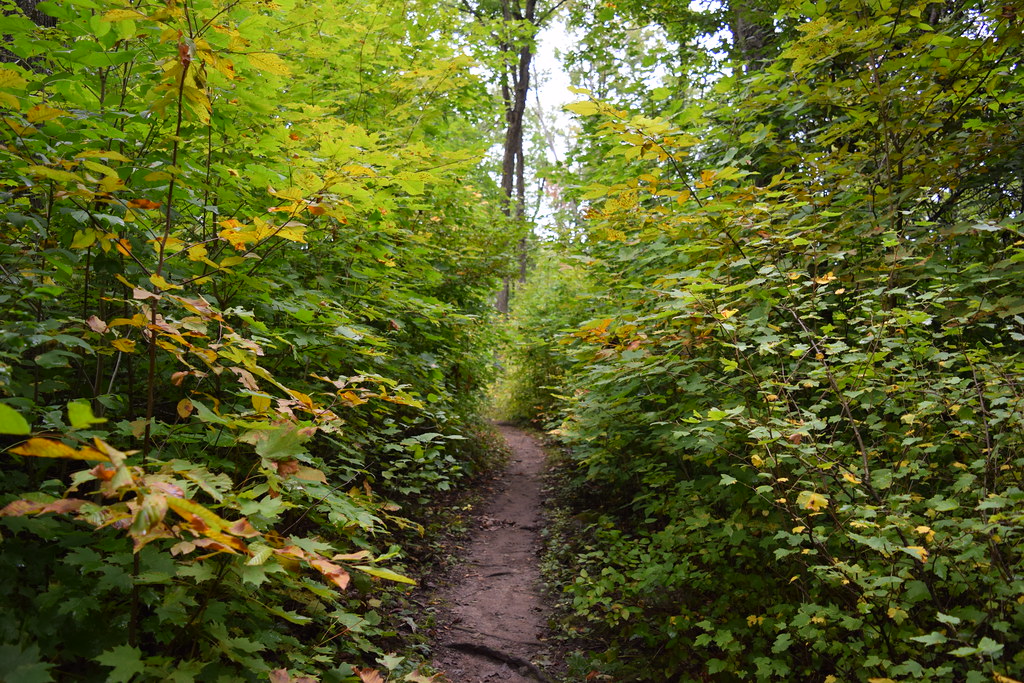 Parnell Tower Trail Kettle Moraine State Forest Northern U… Flickr