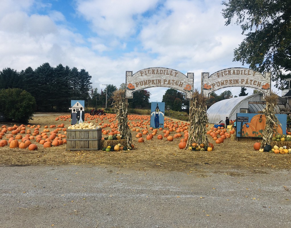 Rainbow Farms Flickr