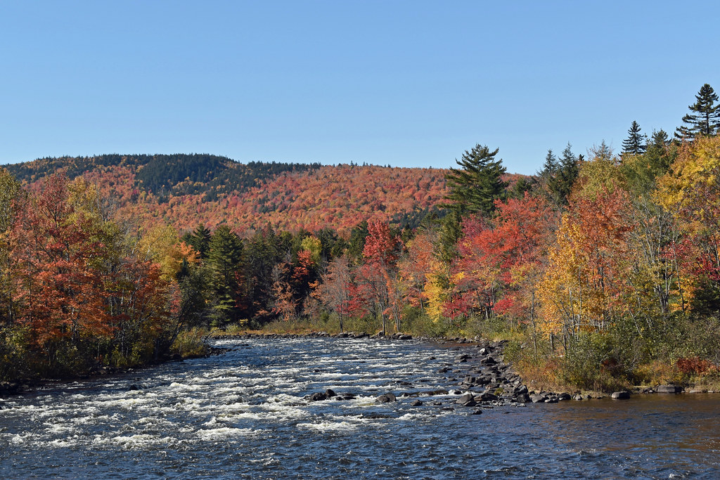 2022 10 08 Dead River Rapids on Dead River before it enter… Flickr