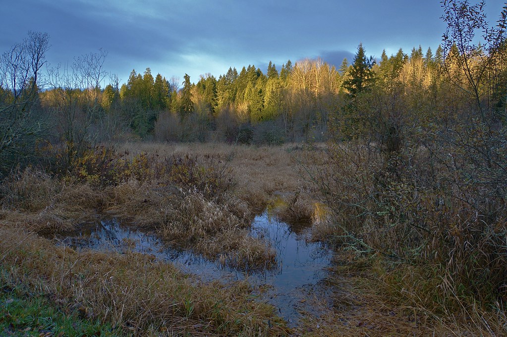 DSC00627 Sunrise at Machias, WA. Oxbow_Lebach Flickr