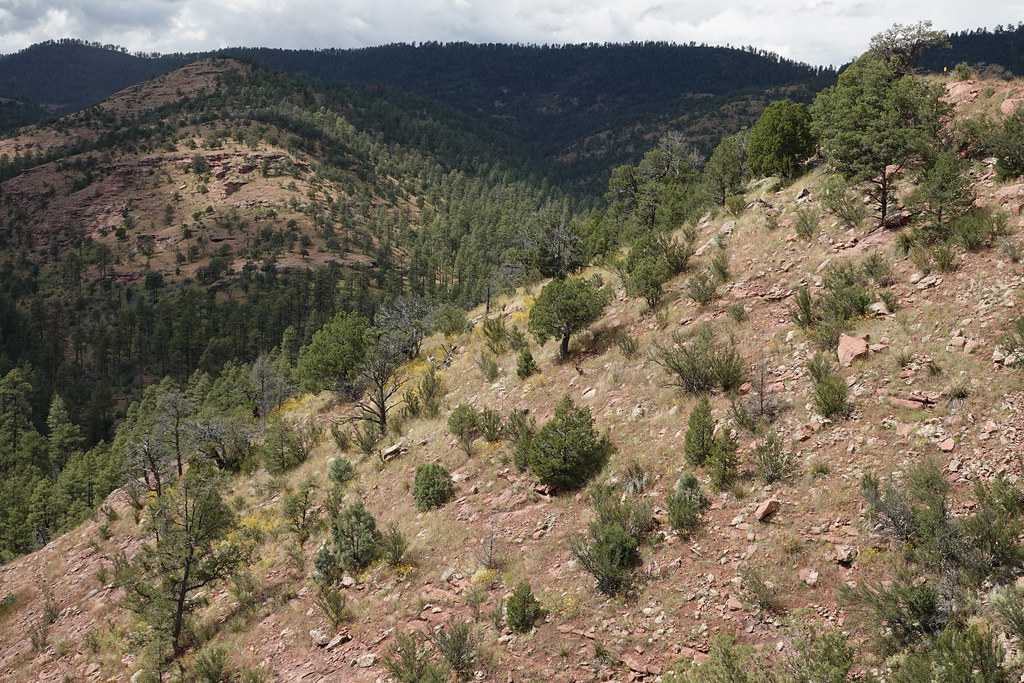 Red Hill Rd, Greenlee County, AZ (7) Doug Danforth Flickr
