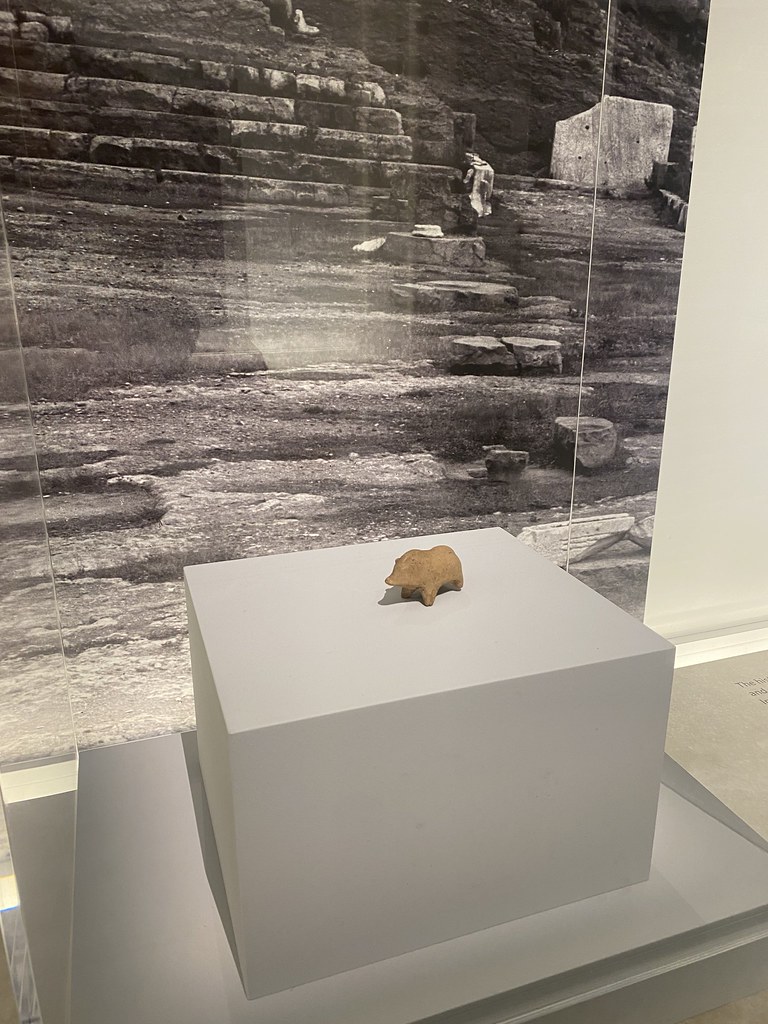 Tiny pig statue Sydney Stasha Lysyk Flickr