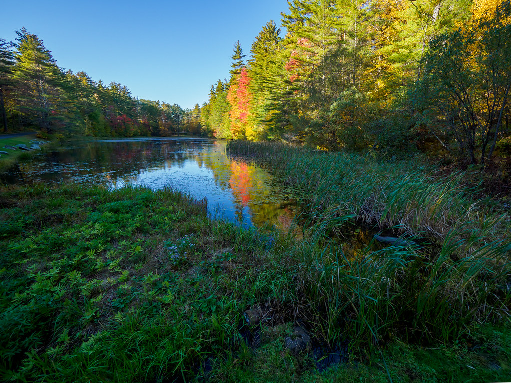 PA086267HDR.jpg Joe Jr. Flickr