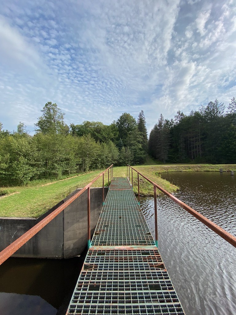 Dam Seen in Moshannon State Forest, Pennsylvania. www.dcnr… Flickr