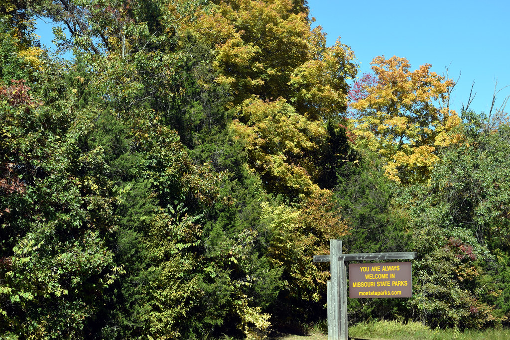 20221008_7351_Johnson_ShutIns sheffieldb Flickr