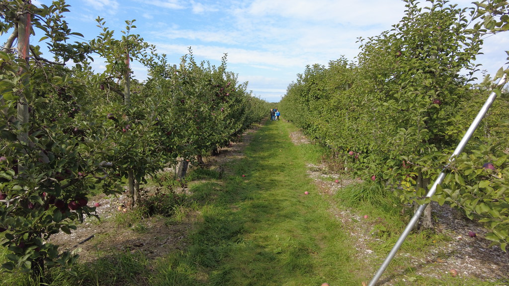 Parlee Farms 95 Farwell Road Allan Lim Flickr