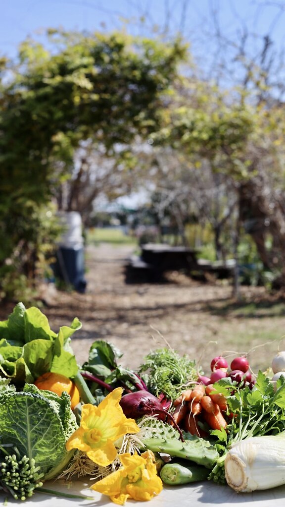 Ontario Produce Huerta del Valle Flickr
