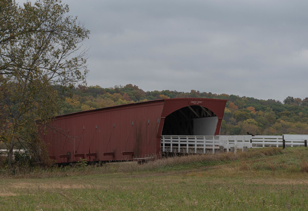 Gonzalez.FL.002(daytime) Christina Gonzalez Flickr