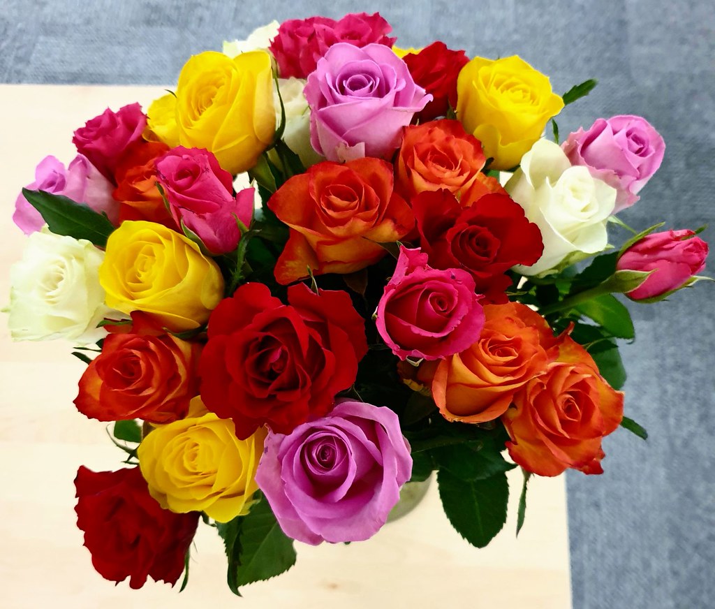 Roses Grow on You When I was still working, I would buy fl… Flickr