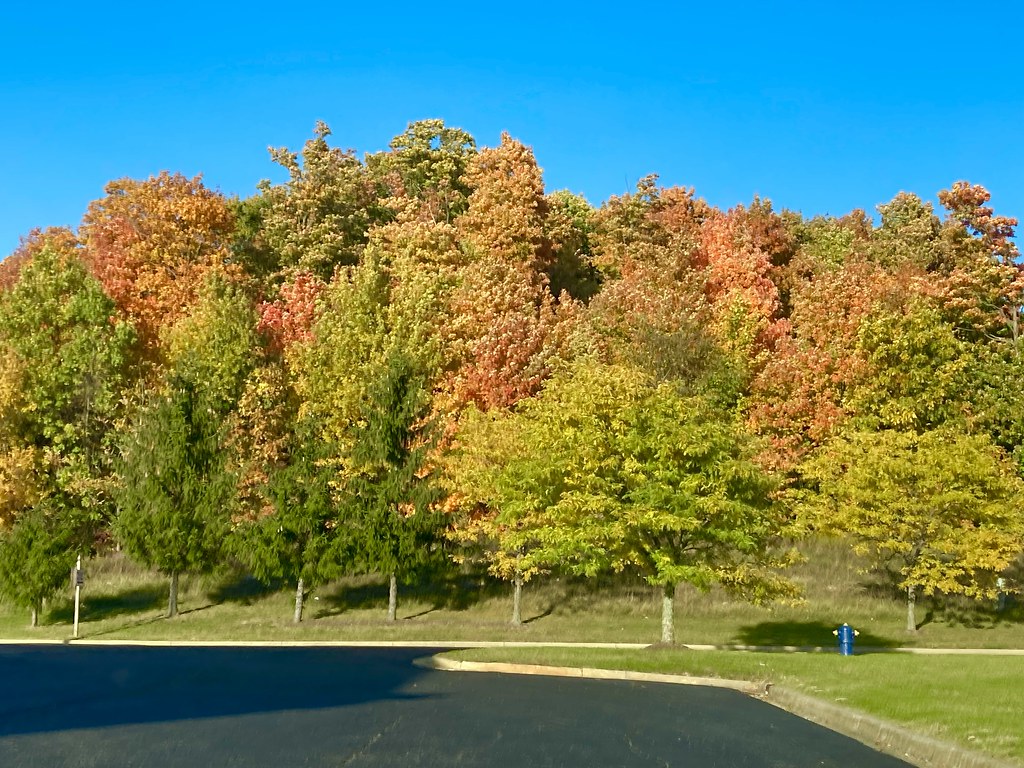 Fall Colors Streetsboro, OH Daniel Westfall Flickr