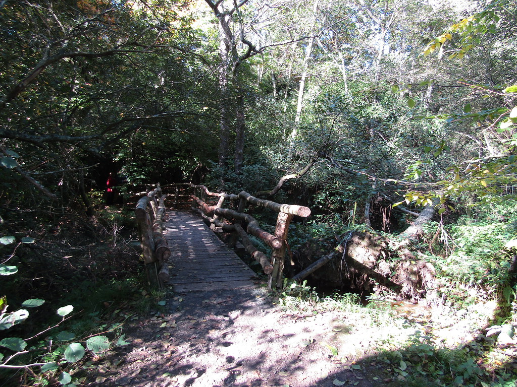 Wooden bridge Sheffield Park Garden, near Haywards Heath, … Flickr