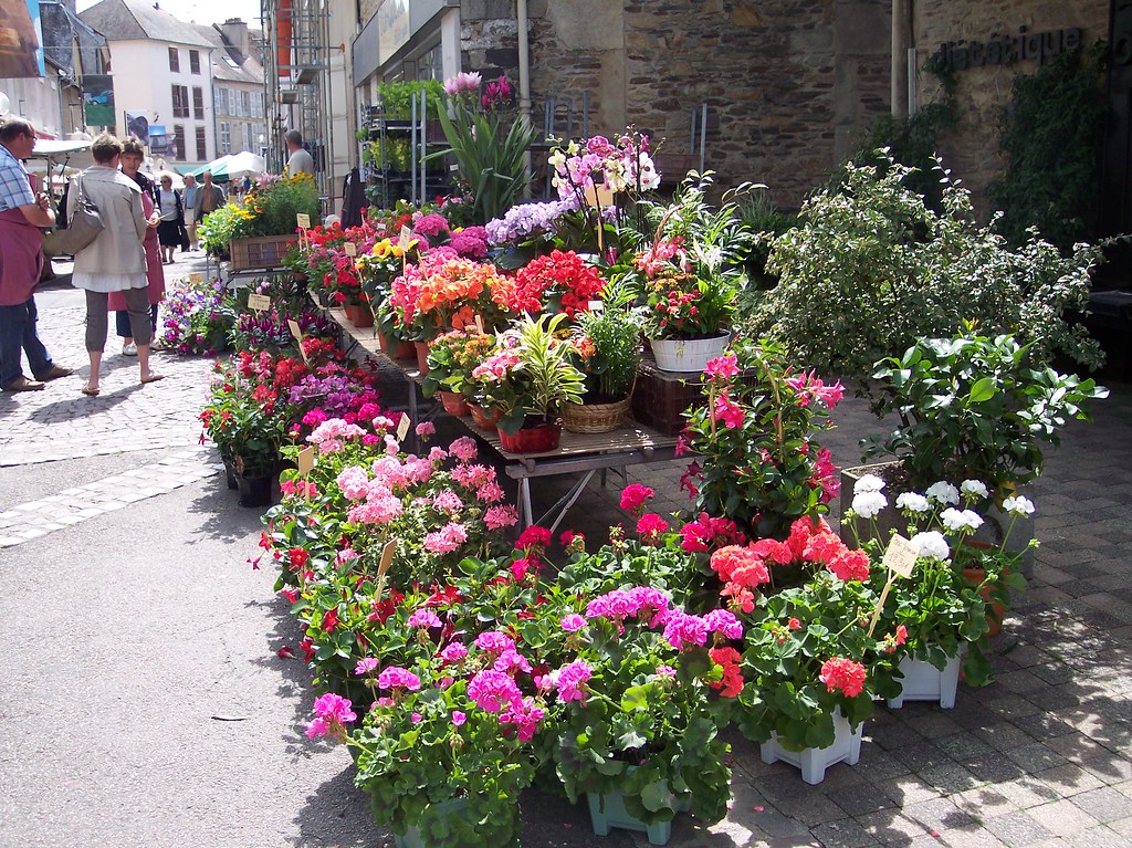 Flowers in France Marcey Zee Flickr