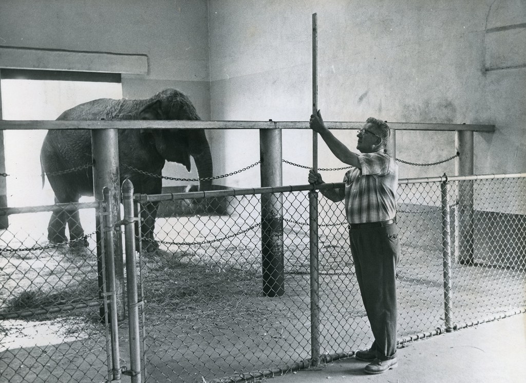 Parks Slater Park Zoo Fannie the Elephant Proposed… Flickr