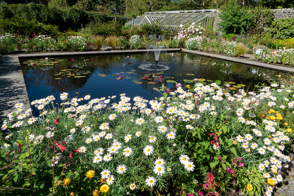 Skye 2022 water garden at Dunvegan Castle 2 Eugene Windsor Flickr