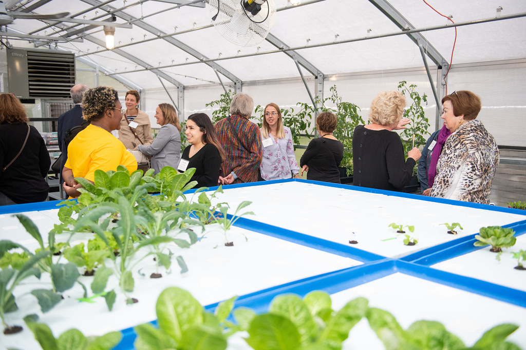 Greenhouse Grand Opening Alverno Advancement Flickr