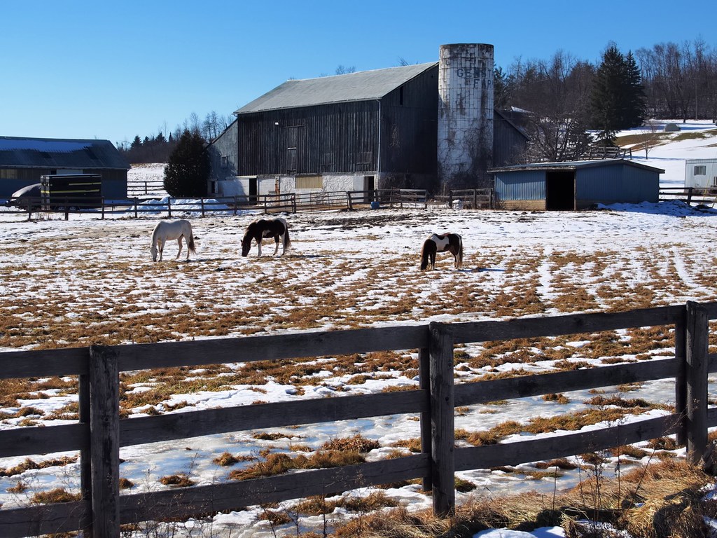Winter at the farm, Halton Hills, Ontario. P2188857 Anx2 Q… Flickr