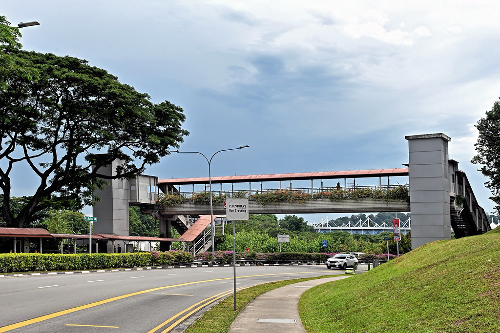 Pedestrian Overhead Bridge Along Kampong Bahru Road. Flickr