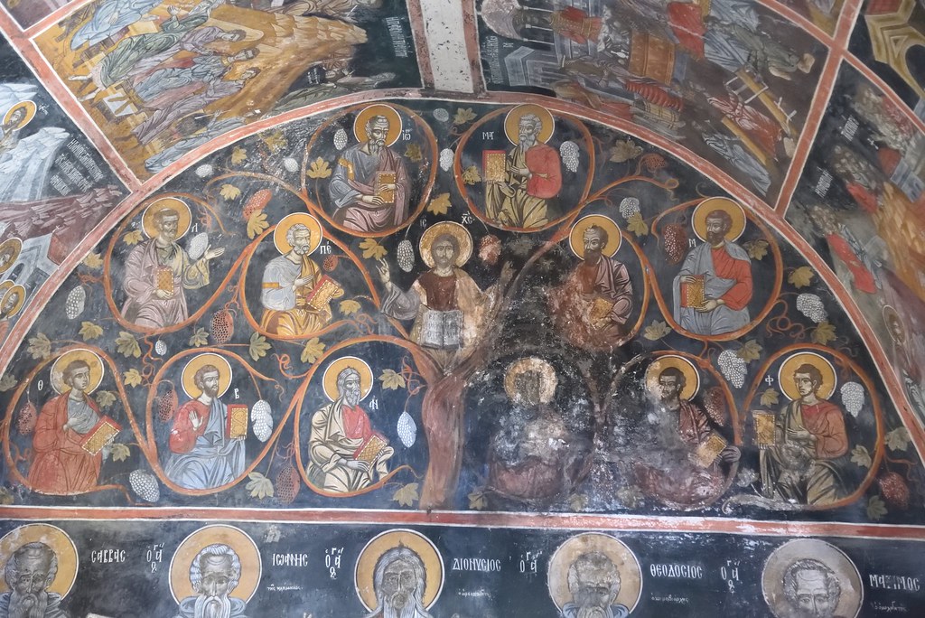 DSC_2933 Thibaut de Roquemaurel Flickr