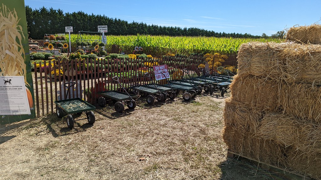 202210 Duffield's Farmers market Wagons for carrying pu… Flickr